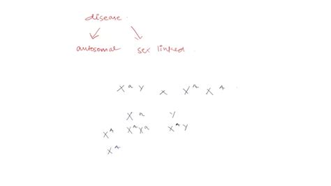 Solved Question 11 In This Human Pedigree What Is The Most Likely Mode Of Inheritance Of The