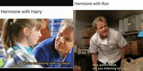 Harry Potter: 10 Memes That Sum Up Hermione & Ron's Relationship In The Half-Blood Prince