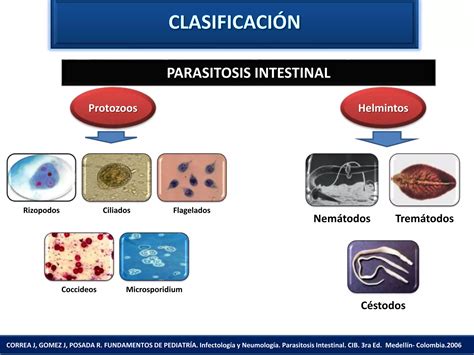 Parasitosis Intestinal Ppt