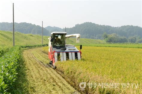 ‘쌀 적정생산 올해 벼 재배면적 45ha 감축 나서