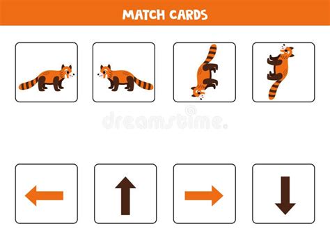 left     spatial orientation  cute red panda stock