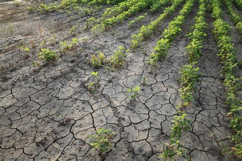 Emergenza Siccit Il Razionamento Diurno Dellacqua Ormai Prossimo