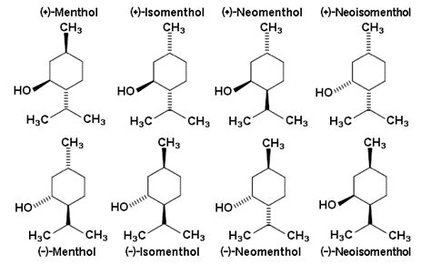 Terpenos características estructura función clasificación Lifeder