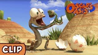 Oscars Oasis Baby Lizard HQ Funny Cartoons Clip Art Library