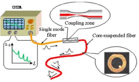 Distributed Fiber Optic Gas Sensor Based On The Core Suspended Optic