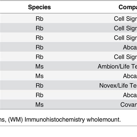 Primary Antibodies Used For Histological Studies And Immunoblot