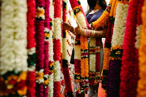 Garlands Photos, Download The BEST Free Garlands Stock Photos & HD Images