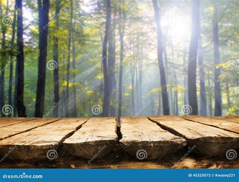 Empty table stock image. Image of board, park, morning - 45325073