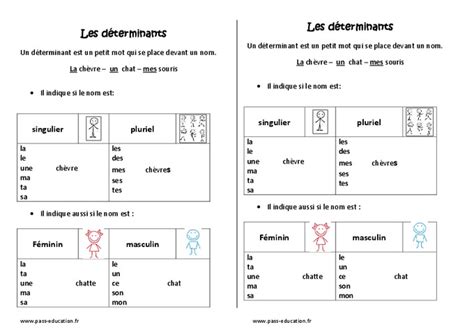 Déterminants Ce1 Leçon Singulier Pluriel et Féminin Masculin