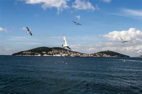 Princes Islands Tours Full Day Tour With Lunch Istanbul Daily City