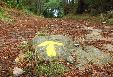 Origen Y Significado De Los S Mbolos Del Camino De Santiago