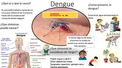 DivulgaciÓn CientÍfica Ug Dengue