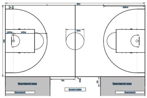 Sejarah Bola Basket Dan Ukuran Lapangan Tracey Thomson