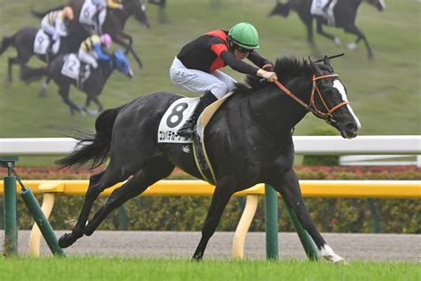 サウジアラビアrc覇者ゴンバデカーブースはホープフルsへ 競馬ニュース・特集なら東スポ競馬