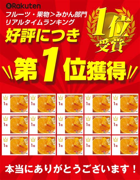 【楽天市場】【115限定★抽選で2人に1人最大100ポイントバック！要エントリー】【12月初旬から順次ご発送】送料無料 安心の自社検品