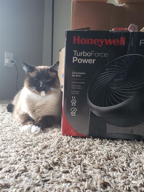 2243 best Onlyfans images on Pholder | Only Fans, Cursedcomments and