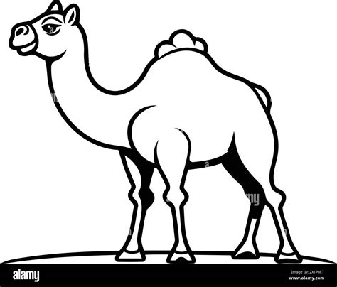 Camel On The Background Of The Desert Vector Illustration In Flat