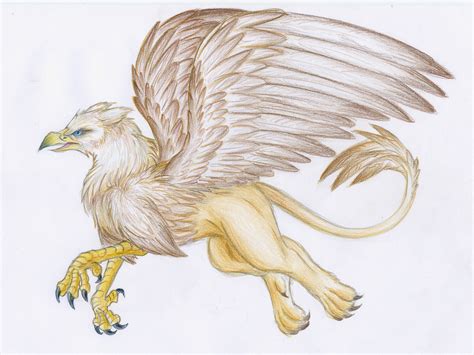 Gryphon By Lintufriikki By Mythical Creatures On Deviantart