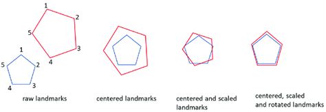 Process Of Procrustes Superimposition Modified And Adapted From