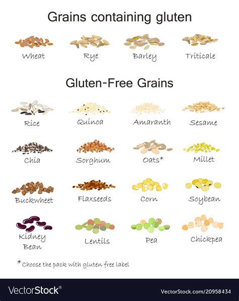 A Variety Of Gluten Free And Containing Gluten Grains Wheat Barley Oats Rye Buckwheat