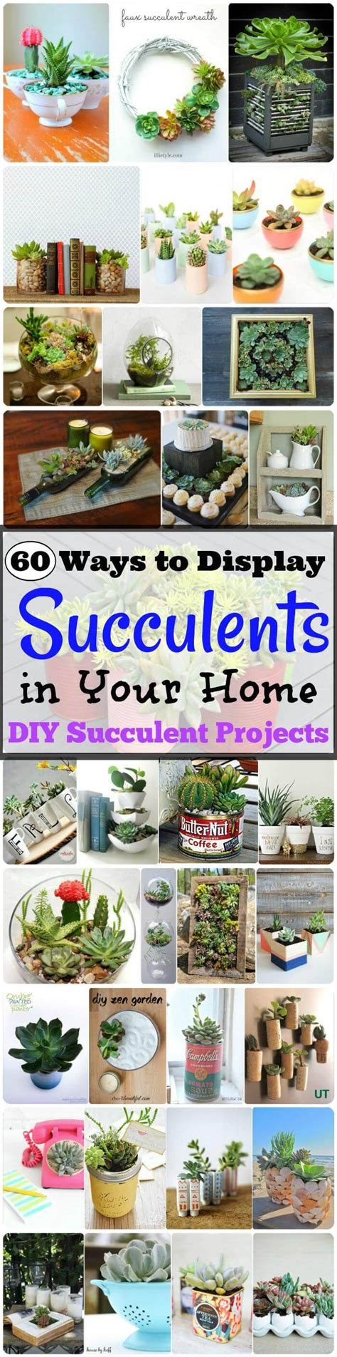 Diy Succulent Projects 60 Ways To Display Succulents In Your Home Diy Crafts