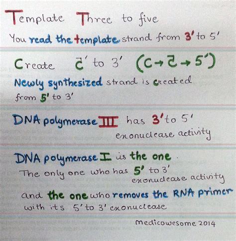 Medicowesome Dna Replication Mnemonics