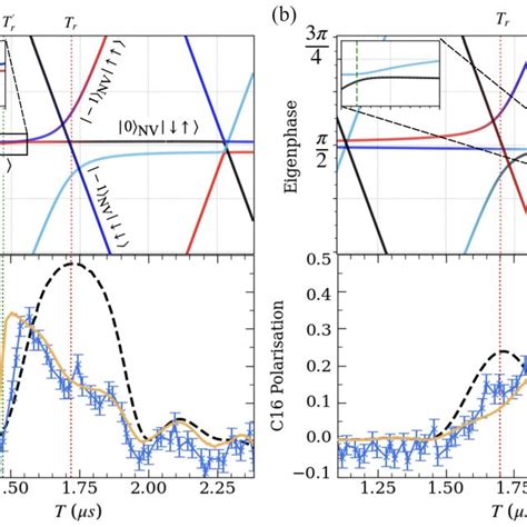 Illustration Of Polarisation Saturation For Spin C Due To Spin Pair