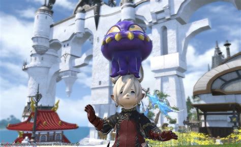 FFXIV: What Are Minions (And Do They Do Anything?) – FandomSpot