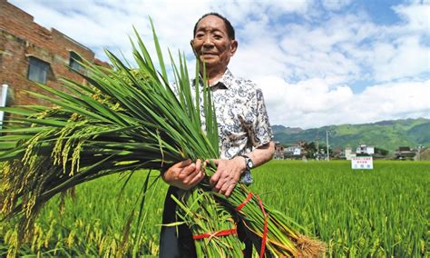 Yuan Longping Father Of Hybrid Rice Dies Mourners Throng To Pay Tributes Smart Indian