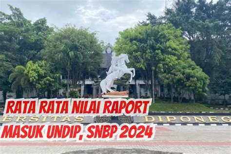 Terbaru Rata Rata Nilai Raport Masuk Undip 2024 Jalur Snbp Di