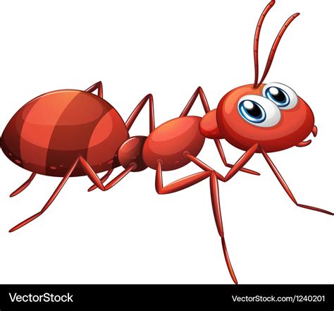 A big red ant Royalty Free Vector Image - VectorStock