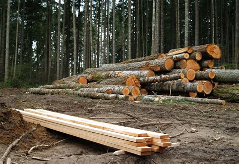 Connect How The Surge In Lumber Prices Is Affecting Landowners Tfs