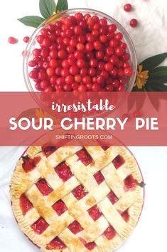 15 Best Tart cherry pie filling recipe ideas in 2024 | tart cherry pies ...