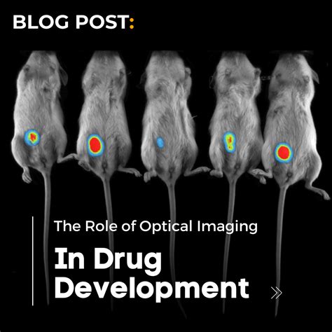 concept  clinic  role  optical imaging  drug development