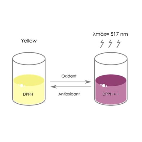 Colorimetric Ros Assay Dpph Antioxidant Assay