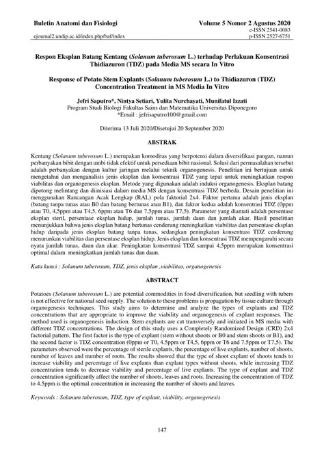 PDF Respon Eksplan Batang Kentang Solanum Tuberosum L Terhadap