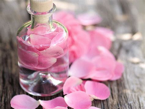 Confectionner Votre Propre Eau De Rose Astuces Pratiques