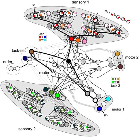 Network Architecture Schematic Of The Spiking Neuron Network Model