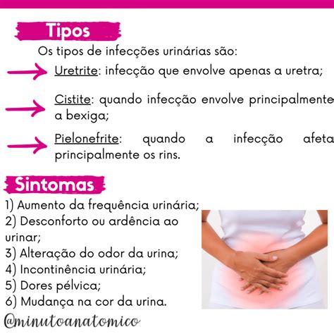 Xanana Para Infecção Urinária - Minuto Anatomoclínico #69: Infecção urinária – Anatomia & Fisioterapia