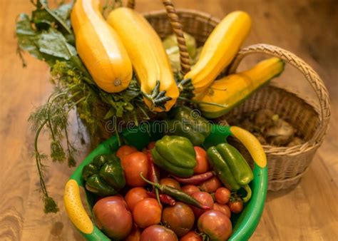 Various Vegetables Harvested From The Field And Washed Harvest Time