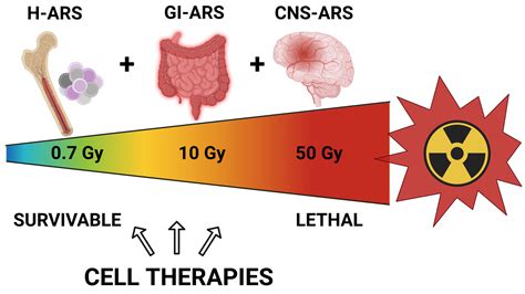 Cell Therapies for Acute Radiation Syndrome