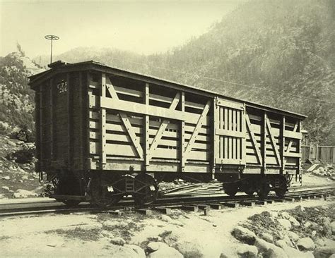 Cattle Car Railroad Photos Old Trains Cattle