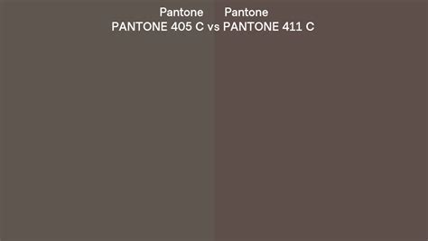 Pantone 405 C Vs Pantone 411 C Side By Side Comparison