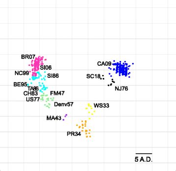 Sequence-based Map of H1N1 HA Proteins. Antigenic cartography of... | Download Scientific Diagram