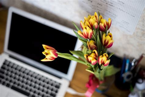 Free Images Laptop Desk Computer Table Plant Keyboard Spring