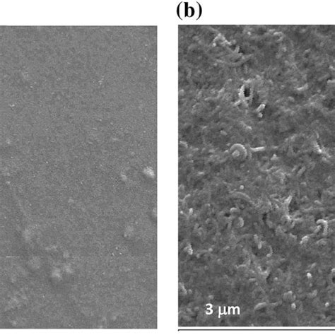 A Low And B Higher Magnification SEM Micrographs Of The Ox MWCNT Aunano