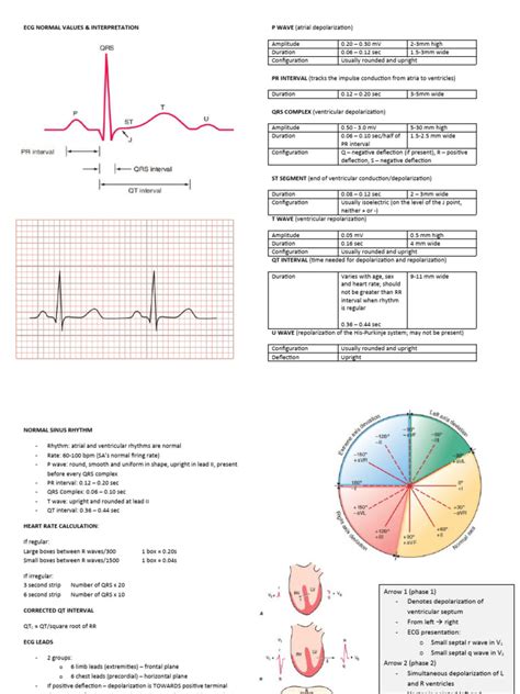 ECG Normal Values and Interpretations | PDF | Electrocardiography | Heart