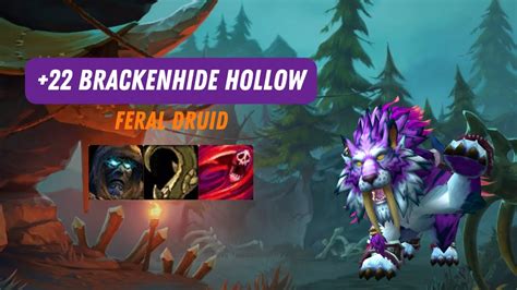 22 Brackenhide Hollow Feral Druid 10 1 0 YouTube