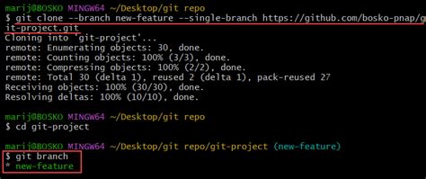 Git Clone A Specific Branch 2 Methods Explained