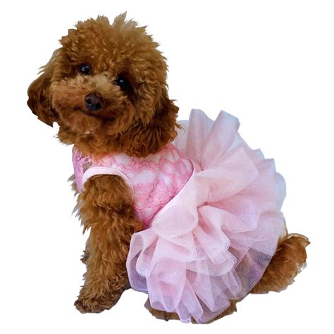 Fufu Tutu Lace Dog Dress Pink Baxterboo